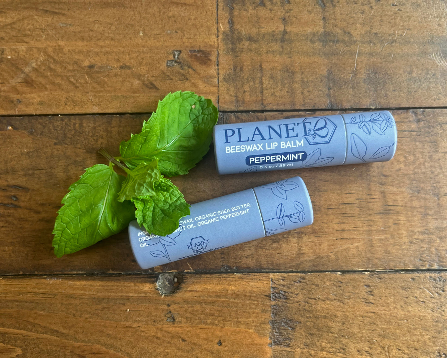 Beeswax Lip Balm - 6 Piece Gift Set