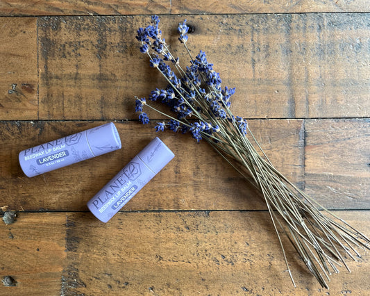 Beeswax Lip Balm - Lavender