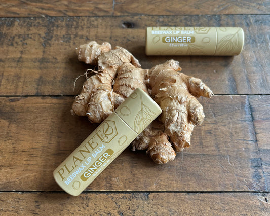 Beeswax Lip Balm - Ginger
